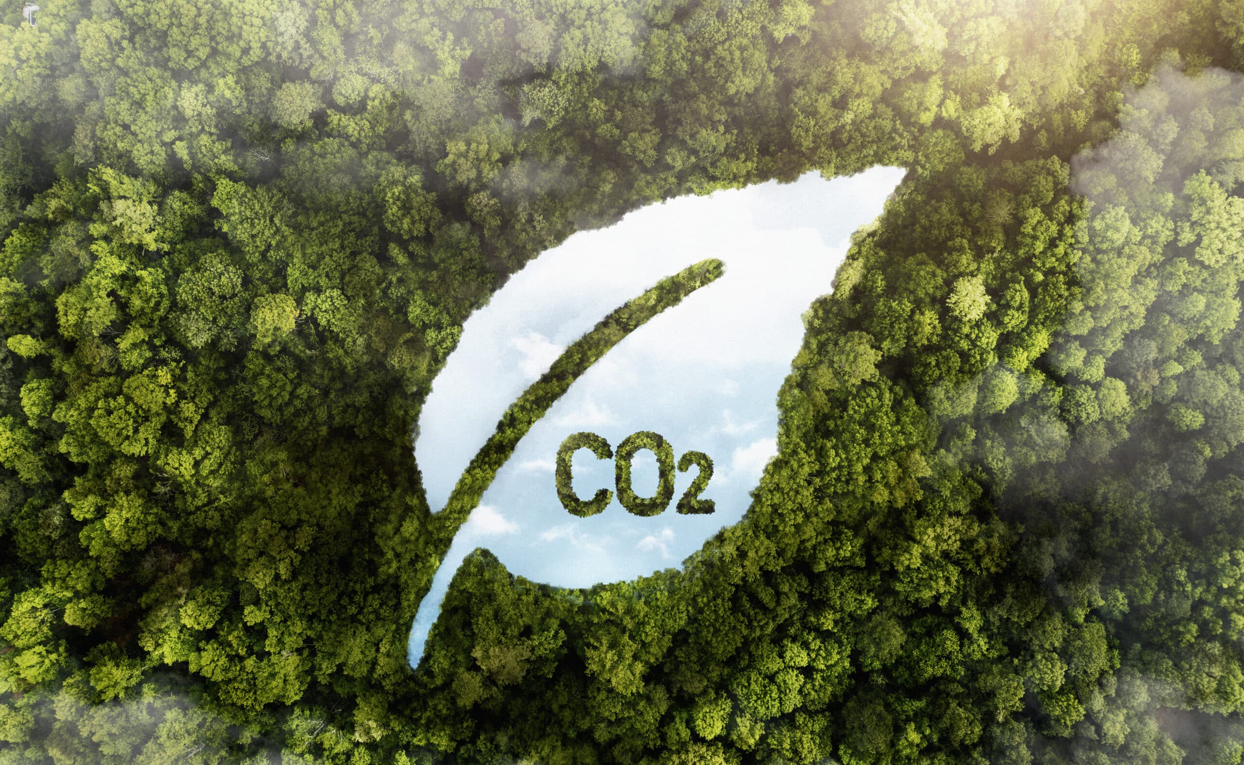 List na zelenom podklade lesov znázorňujúci škodlivé CO2